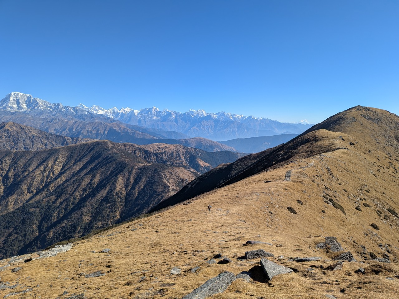 ネパール（ピケイピークトレッキング）